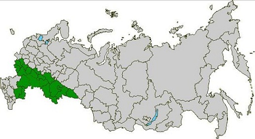 Районирование сорта яровой мягкой пшеницы Фаворит 